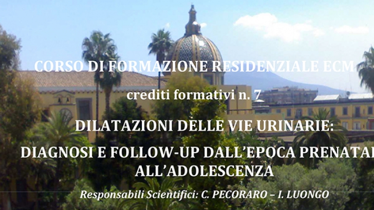 DILATAZIONI DELLE VIE URINARIE: DIAGNOSI E FOLLOW-UP DALL’EPOCA PRENATALE ALL’ADOLESCENZA